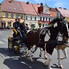 zdjęcie nr 6