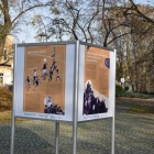 zdjęcie nr 53
