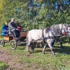 zdjęcie nr 12
