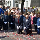 zdjęcie nr 46