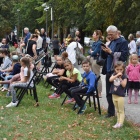 zdjęcie nr 51