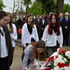 zdjęcie nr 22