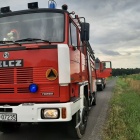 zdjęcie nr 8