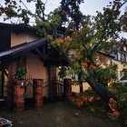 zdjęcie nr 11
