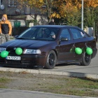 zdjęcie nr 13