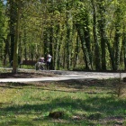 zdjęcie nr 7