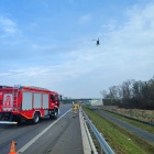 zdjęcie nr 11