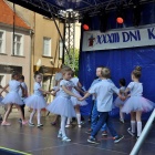 zdjęcie nr 6