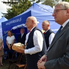 zdjęcie nr 95