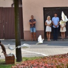 zdjęcie nr 36