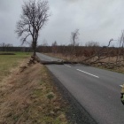zdjęcie nr 17