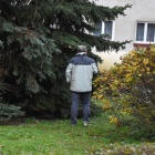 zdjęcie nr 24