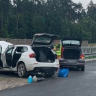 zdjęcie nr 14