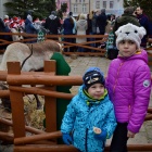 zdjęcie nr 4