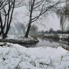 Natura w Twoim mieście (8)