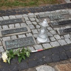 zdjęcie nr 69