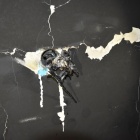 Potrzebna pomoc po pożarze w Borowie (3)