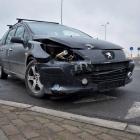 Fotka nr 5 z 8