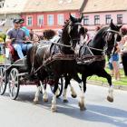 zdjęcie nr 27