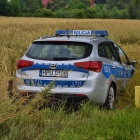 zdjęcie nr 1