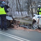 zdjęcie nr 13