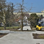 zdjęcie nr 7