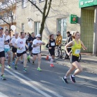 zdjęcie nr 48
