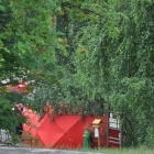 zdjęcie nr 11