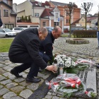 zdjęcie nr 11