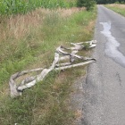 zdjęcie nr 7