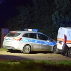 zdjęcie nr 9