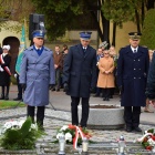 zdjęcie nr 38