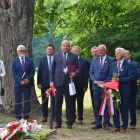 zdjęcie nr 10