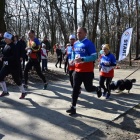 zdjęcie nr 15