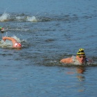 zdjęcie nr 14