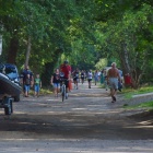 zdjęcie nr 10