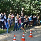zdjęcie nr 143