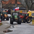 zdjęcie nr 15