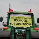 zdjęcie nr 33