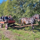 zdjęcie nr 11