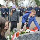 zdjęcie nr 15