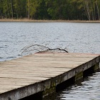 zdjęcie nr 26