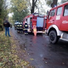 zdjęcie nr 7
