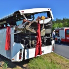 zdjęcie nr 15