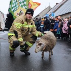 zdjęcie nr 15