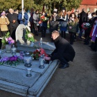 zdjęcie nr 11