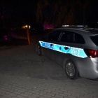 zdjęcie nr 17