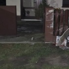 zdjęcie nr 3