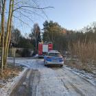 zdjęcie nr 7