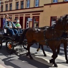 zdjęcie nr 13